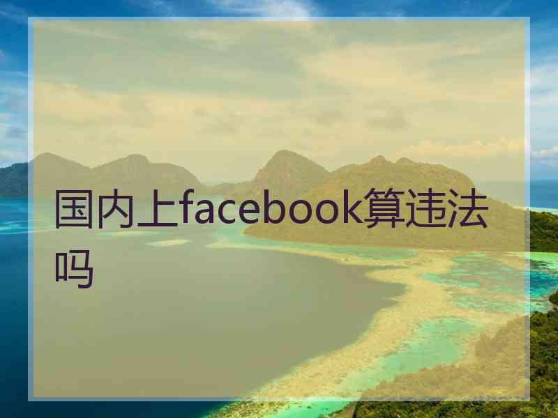 国内上facebook算违法吗