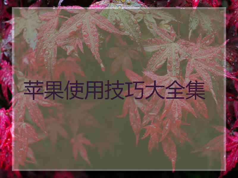 苹果使用技巧大全集