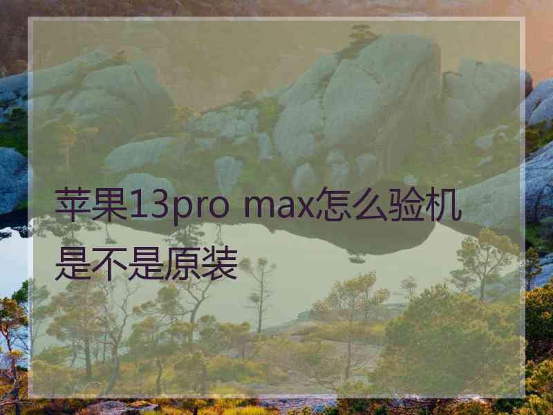 苹果13pro max怎么验机是不是原装