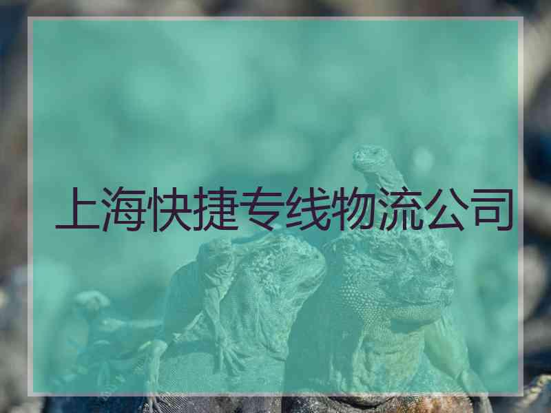 上海快捷专线物流公司