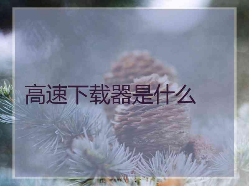 高速下载器是什么