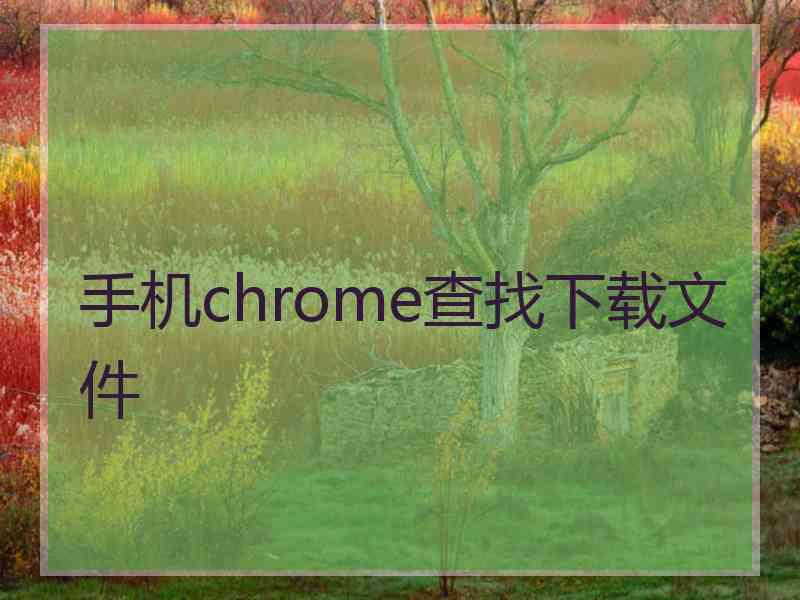 手机chrome查找下载文件