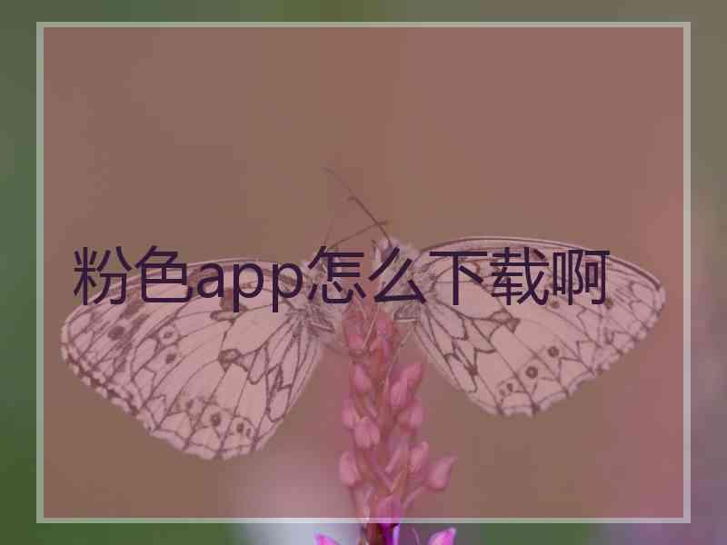 粉色app怎么下载啊