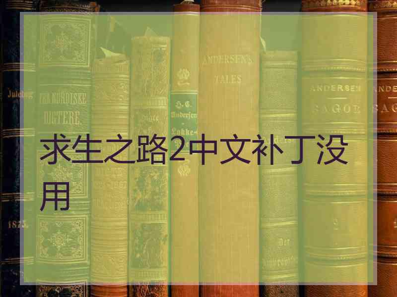 求生之路2中文补丁没用