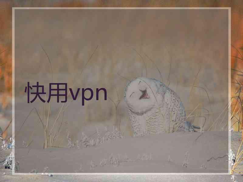 快用vpn