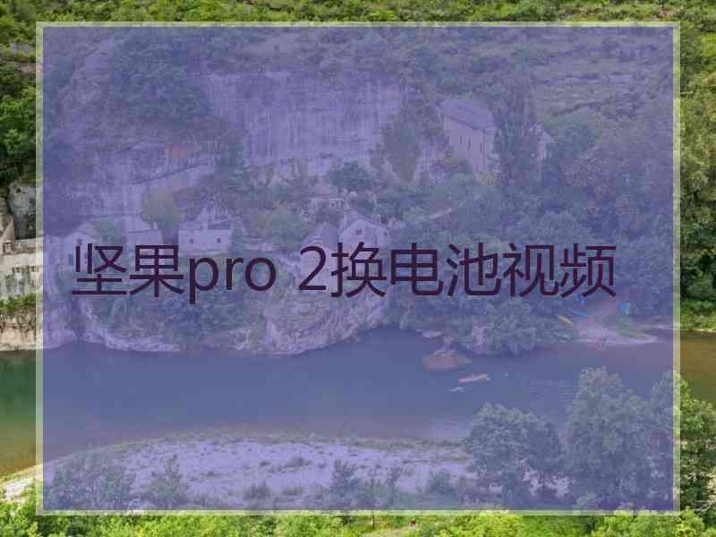 坚果pro 2换电池视频