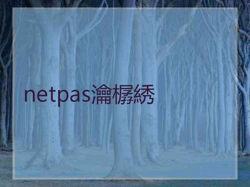 netpas瀹樼綉