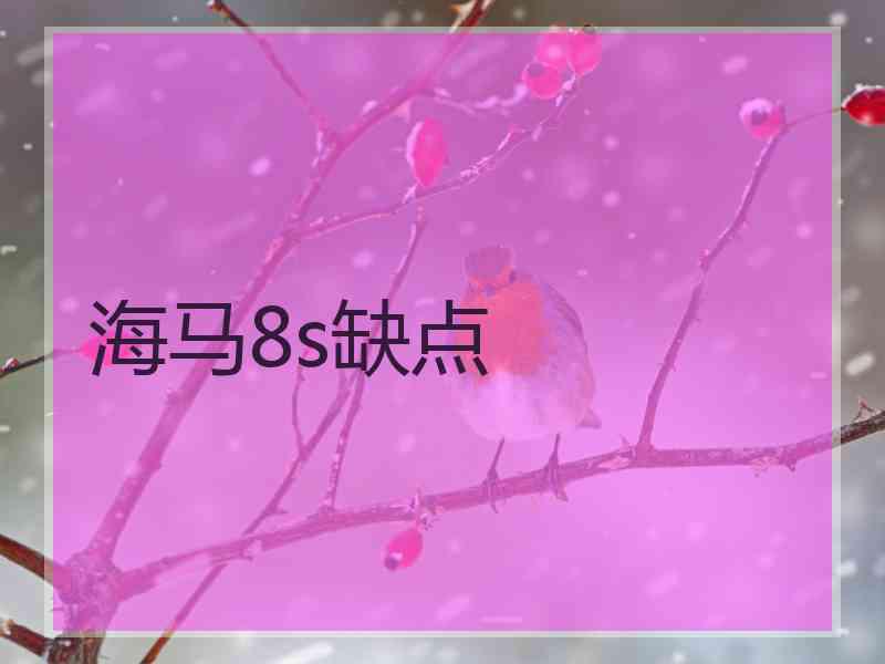 海马8s缺点