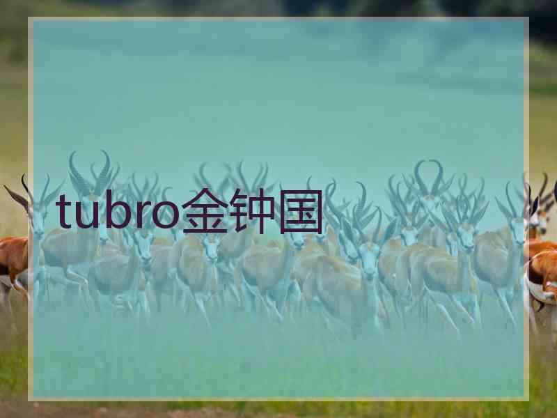 tubro金钟国