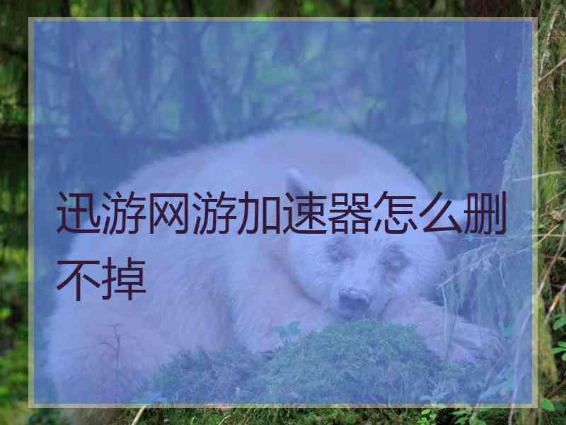 迅游网游加速器怎么删不掉