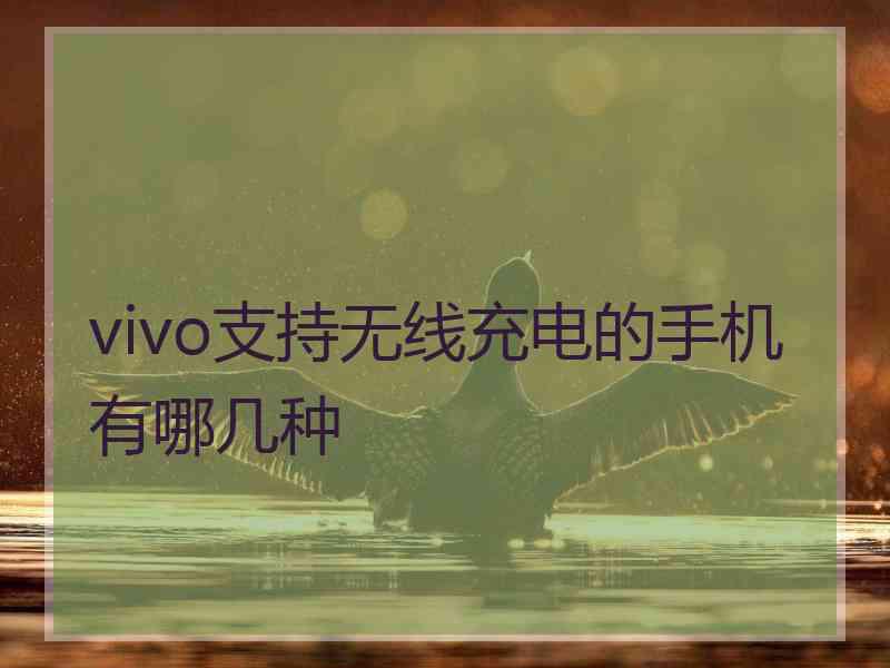 vivo支持无线充电的手机有哪几种