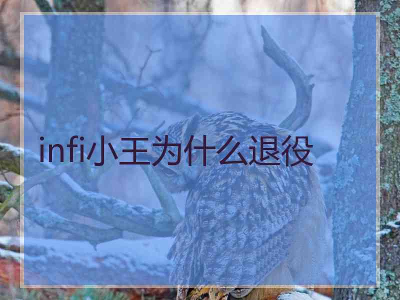 infi小王为什么退役