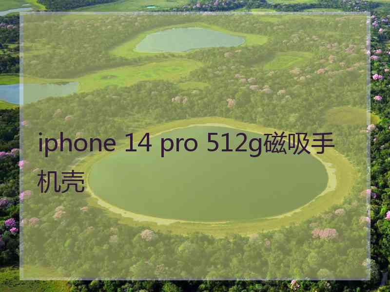 iphone 14 pro 512g磁吸手机壳