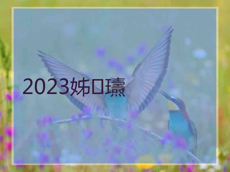 2023姊瓙