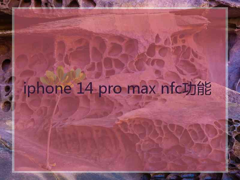 iphone 14 pro max nfc功能