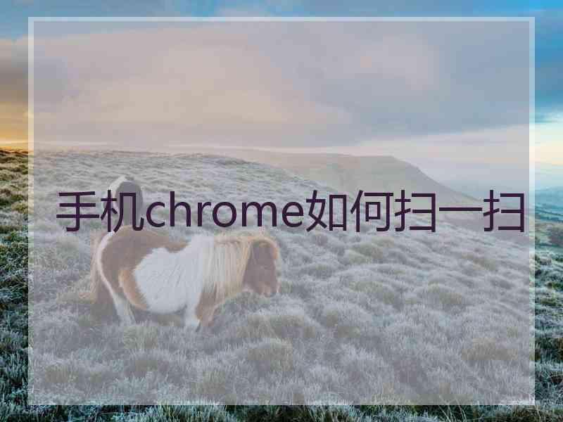 手机chrome如何扫一扫