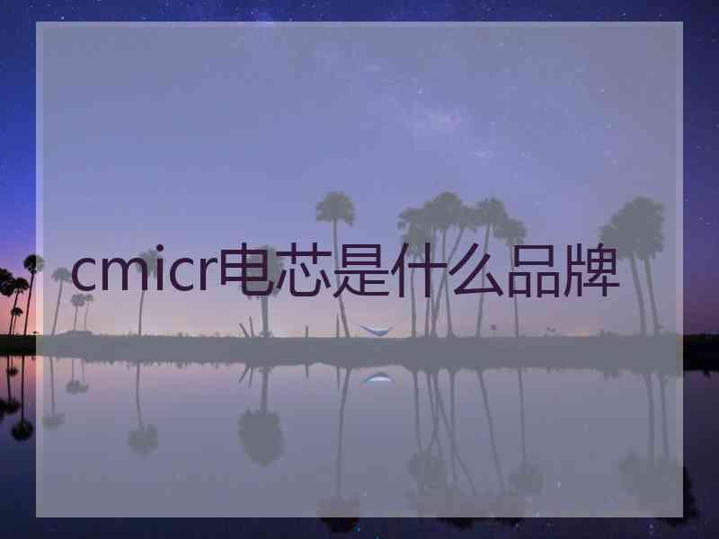 cmicr电芯是什么品牌