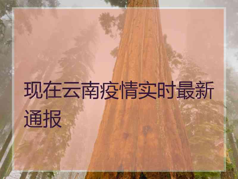 现在云南疫情实时最新通报