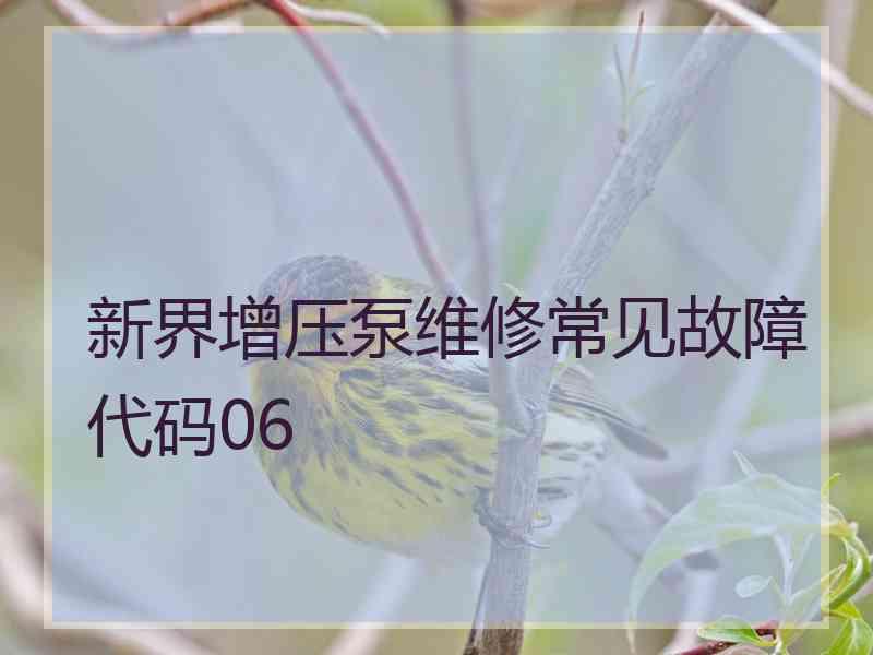 新界增压泵维修常见故障代码06