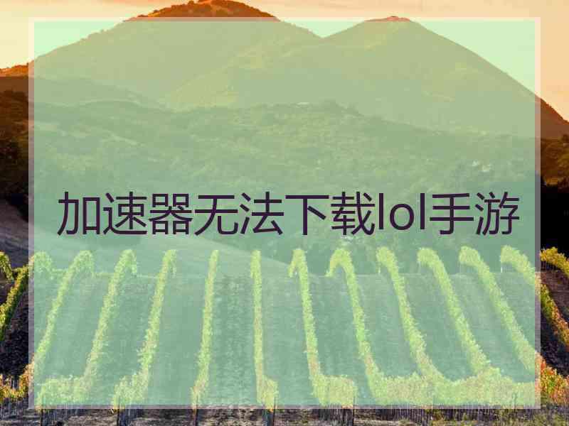 加速器无法下载lol手游