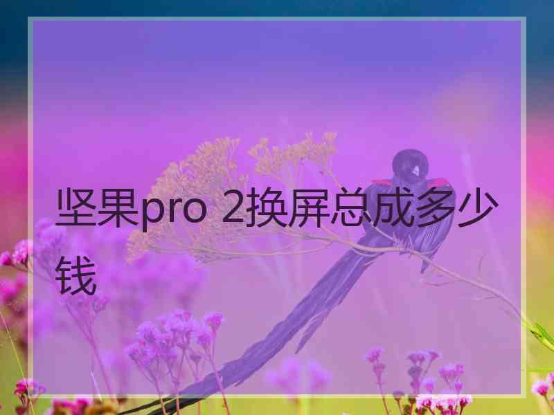 坚果pro 2换屏总成多少钱