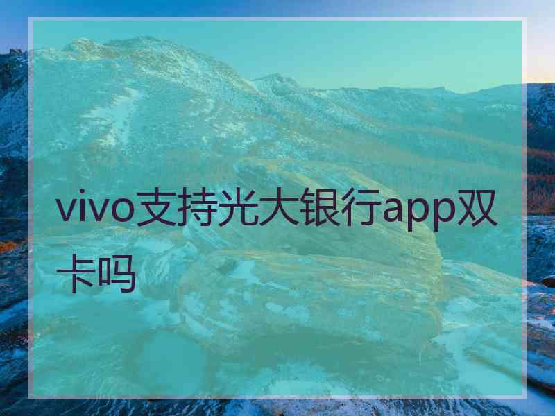 vivo支持光大银行app双卡吗