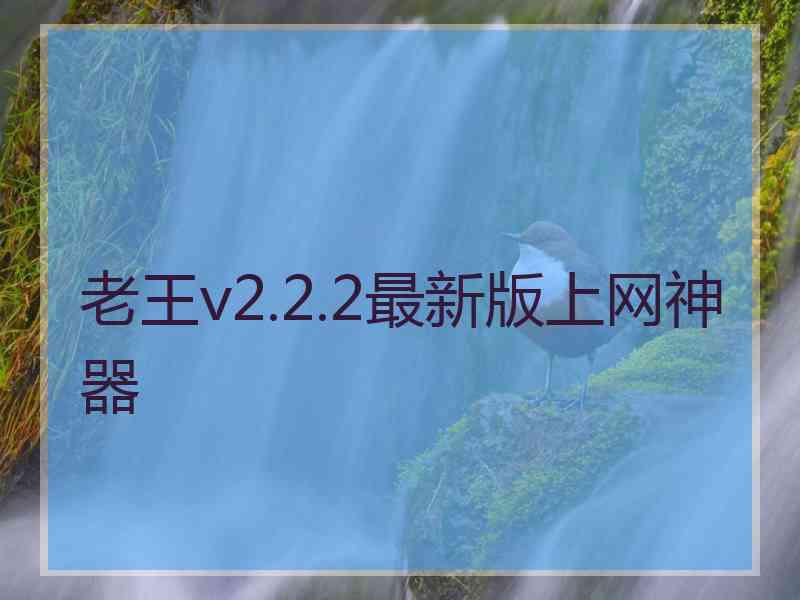 老王v2.2.2最新版上网神器