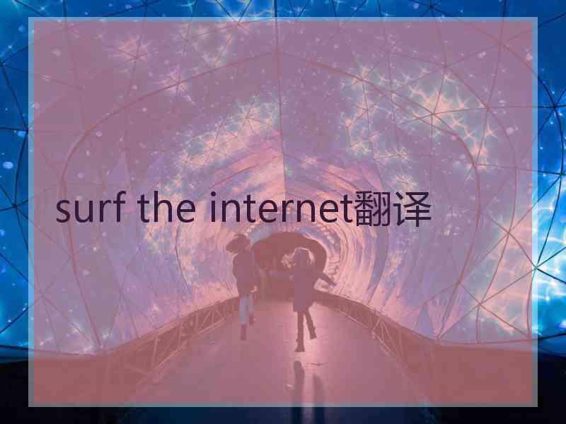 surf the internet翻译