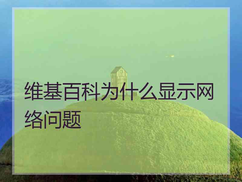 维基百科为什么显示网络问题