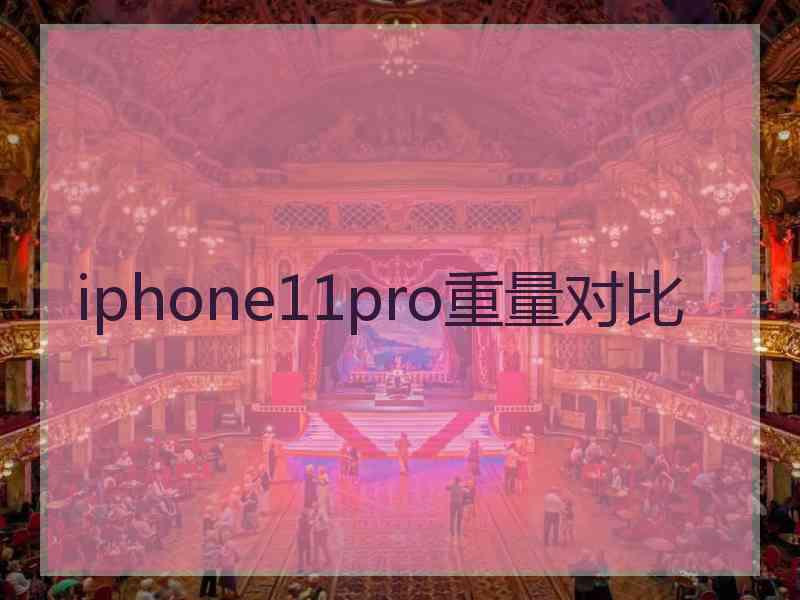 iphone11pro重量对比