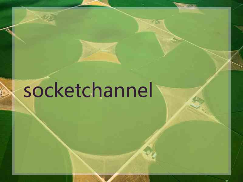 socketchannel