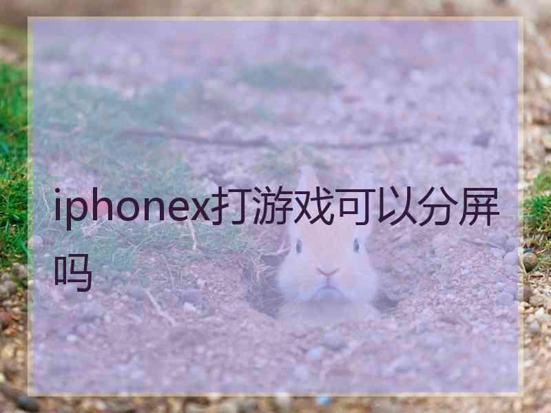 iphonex打游戏可以分屏吗