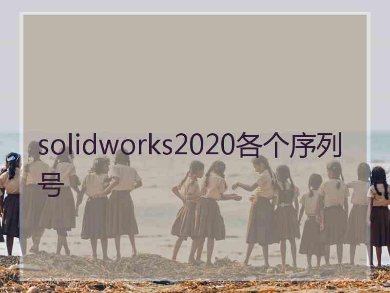 solidworks2020各个序列号