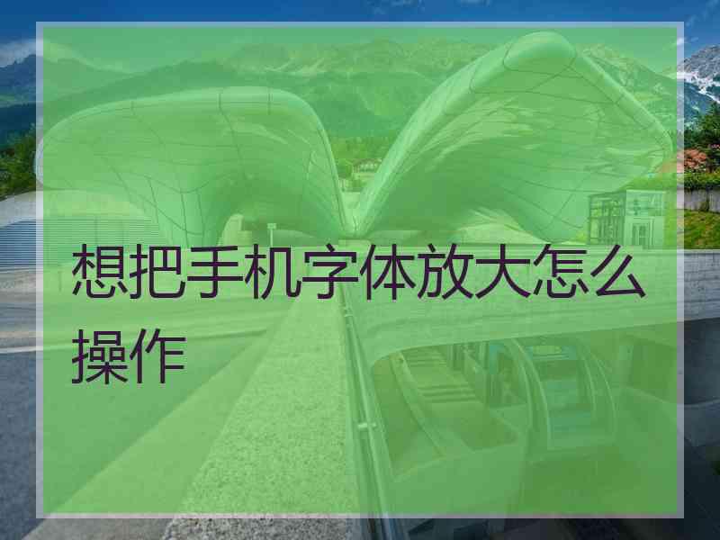 想把手机字体放大怎么操作