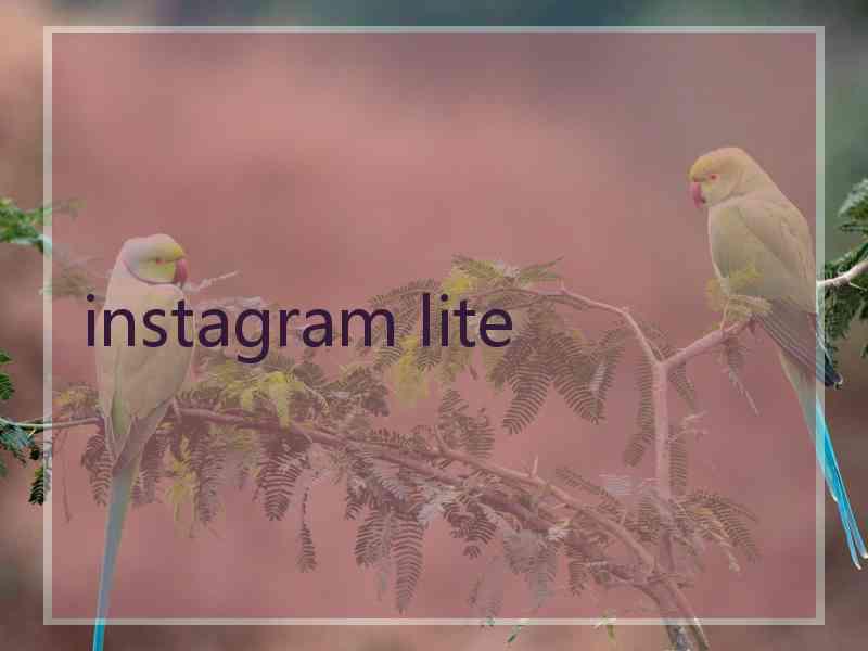 instagram lite