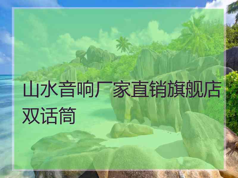 山水音响厂家直销旗舰店双话筒