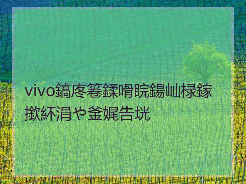 vivo鎬庝箞鍒嗗睆鍚屾椂鎵撳紑涓や釜娓告垙