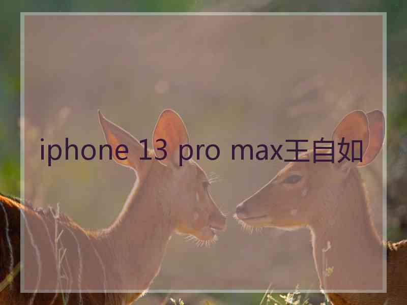 iphone 13 pro max王自如