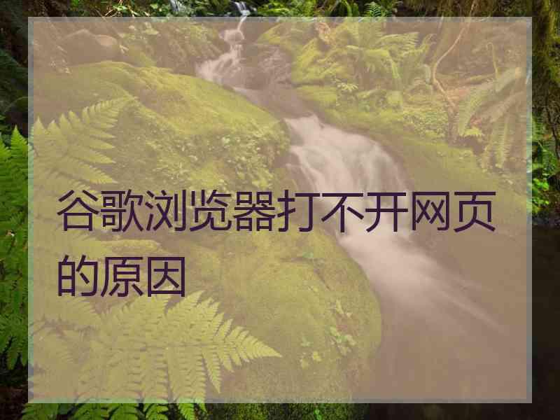 谷歌浏览器打不开网页的原因