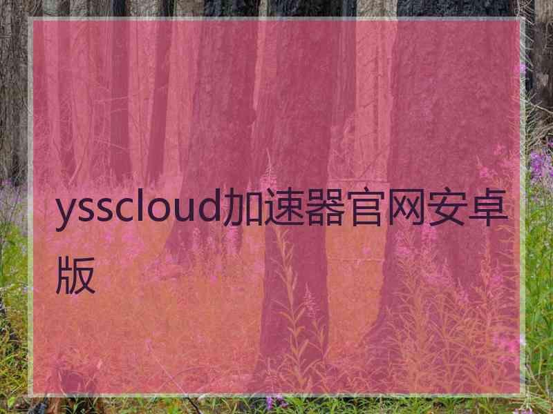 ysscloud加速器官网安卓版