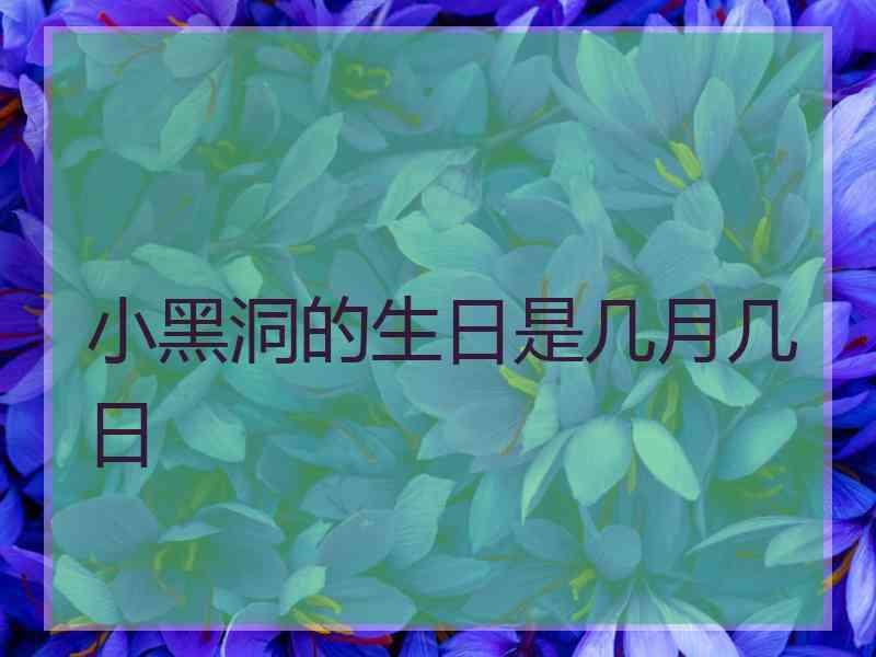 小黑洞的生日是几月几日