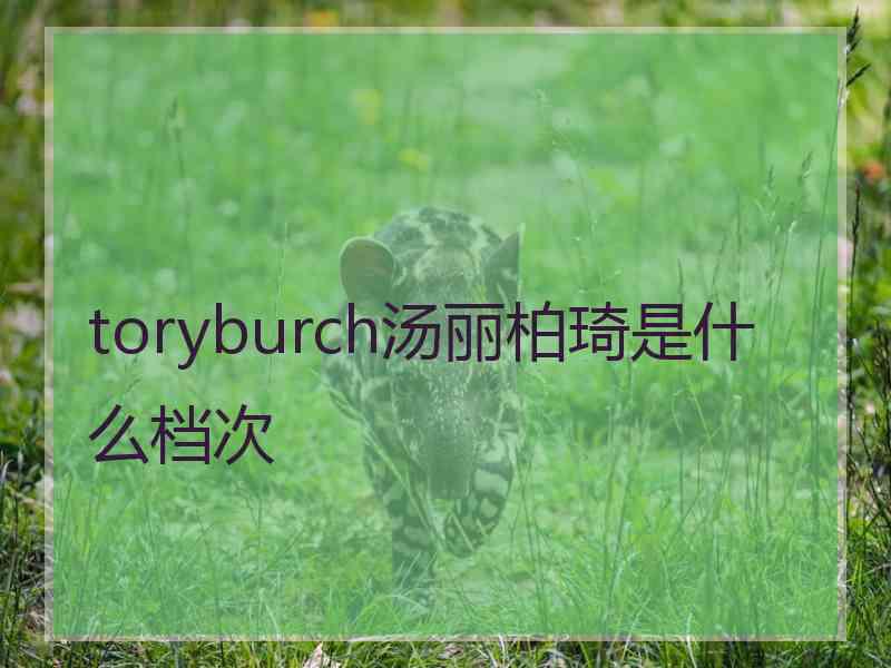 toryburch汤丽柏琦是什么档次