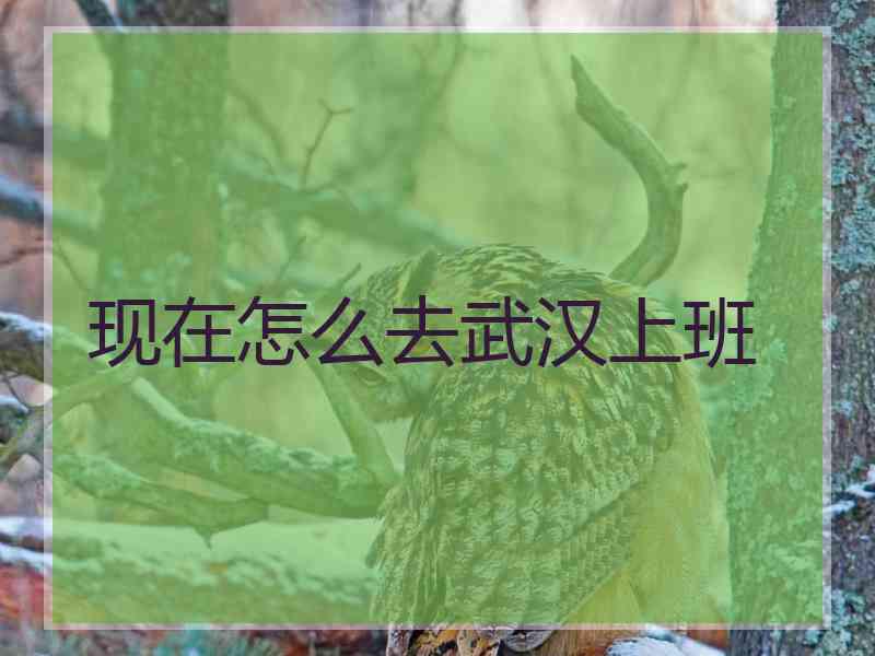 现在怎么去武汉上班