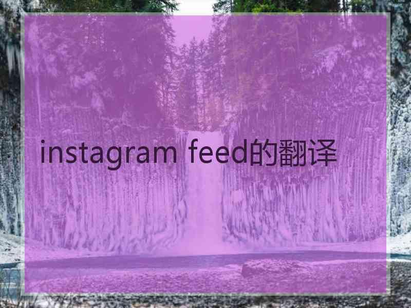 instagram feed的翻译