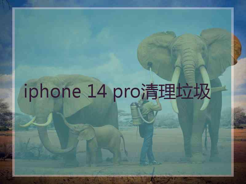 iphone 14 pro清理垃圾