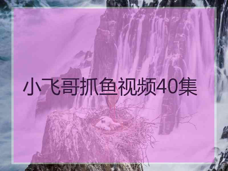 小飞哥抓鱼视频40集