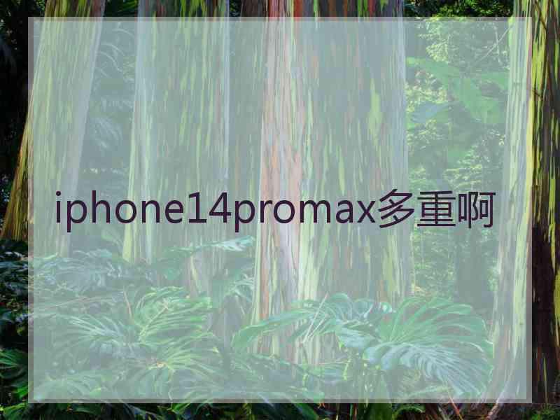 iphone14promax多重啊