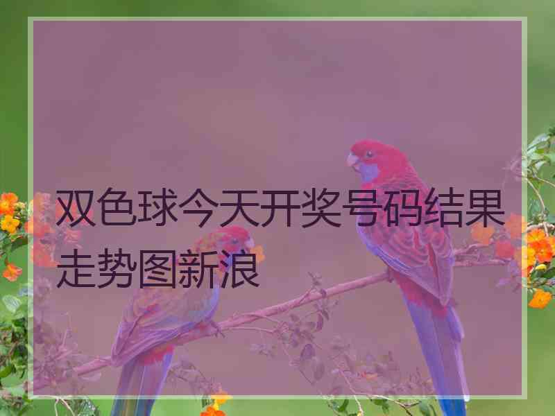 双色球今天开奖号码结果走势图新浪