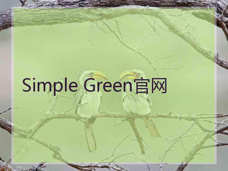 Simple Green官网