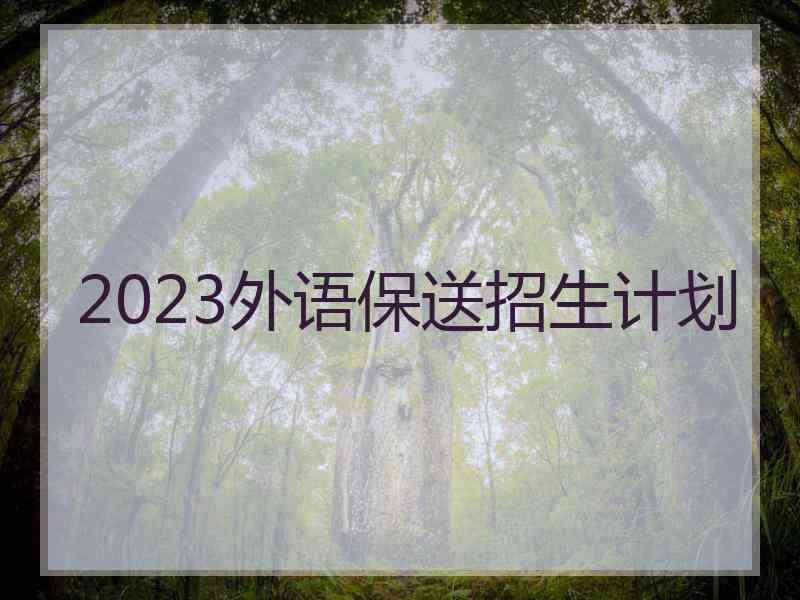 2023外语保送招生计划